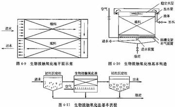 生物池